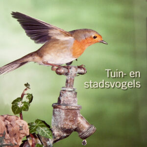 tuin-en-stadsvogels