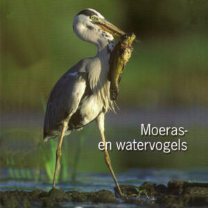 moeras-en-watervogels